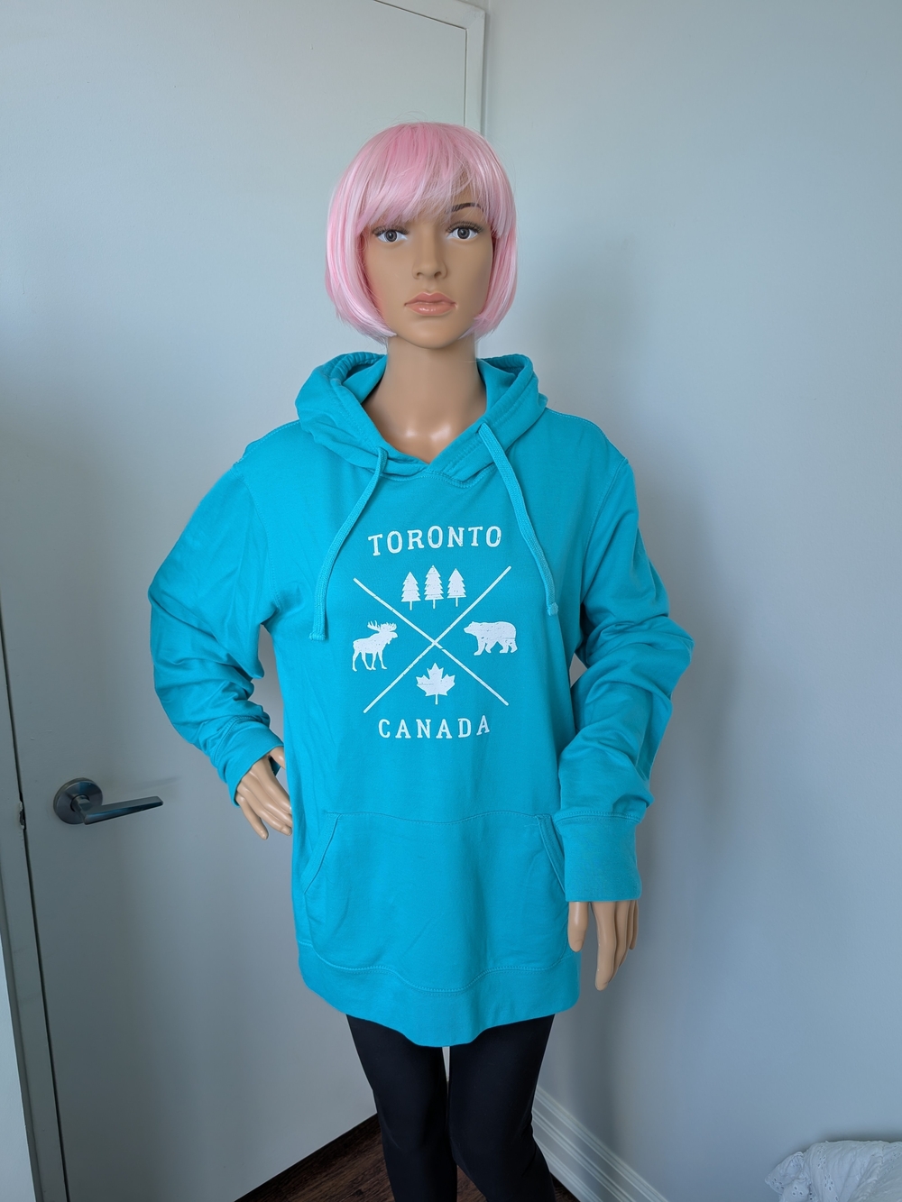 Toronto Canada Teal Hoodie Sweatshirt - Women's Cozy Pullover